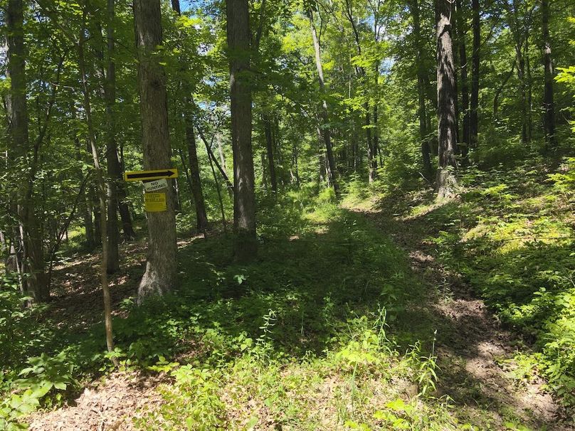 DJI_20240612145438_0015_V