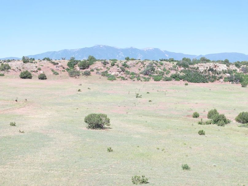 DJI_20250619094153_0061_D