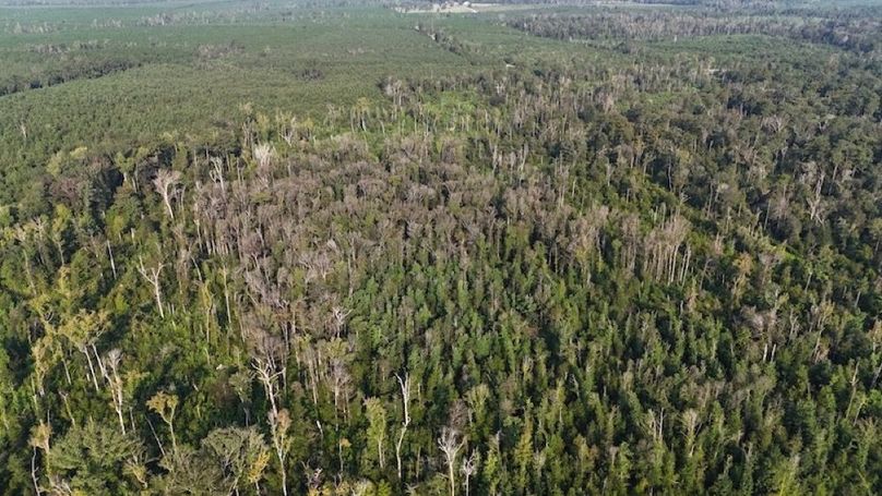 dji_fly_20250903_215852_0022_1756926953057_photo