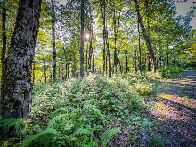 Jefferson_53.29_Johnson_Photos_39