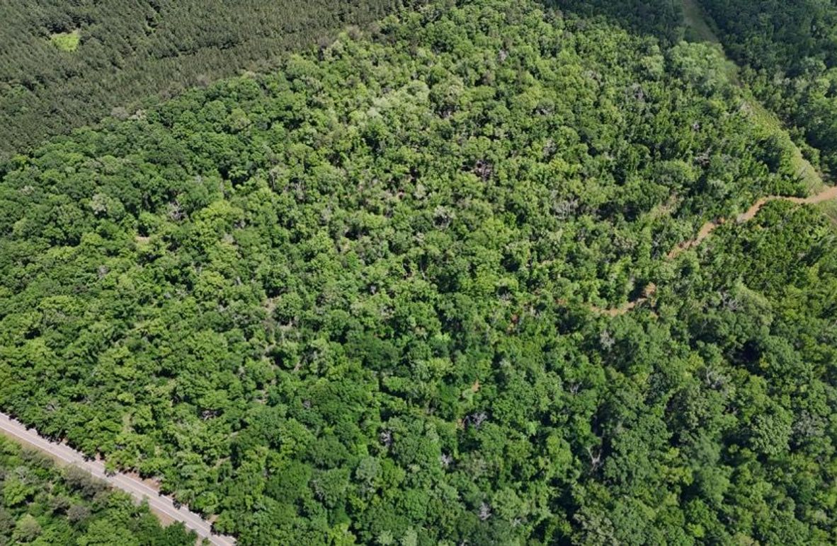 DJI_20250504030321_0479_D