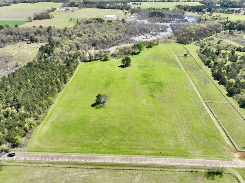 dji_fly_20260317_115644_415_1773763413860_photo