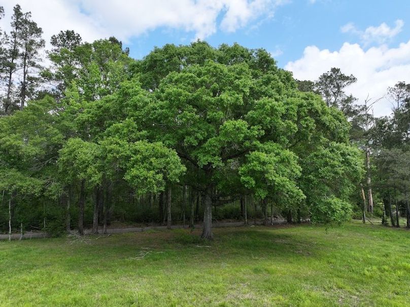 dji_fly_20260414_101706_0066_1776201098615_photo