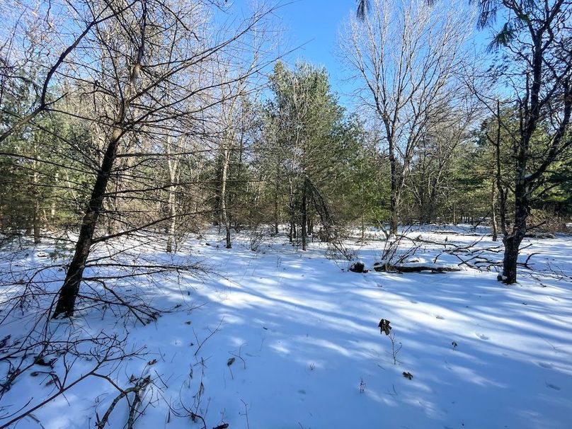 Adams 25, Nessler -45