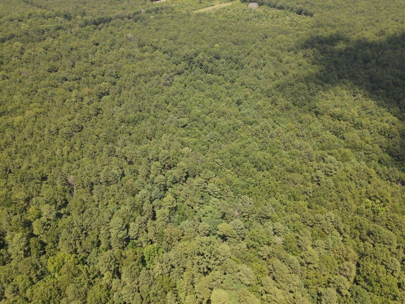 DJI_0608
