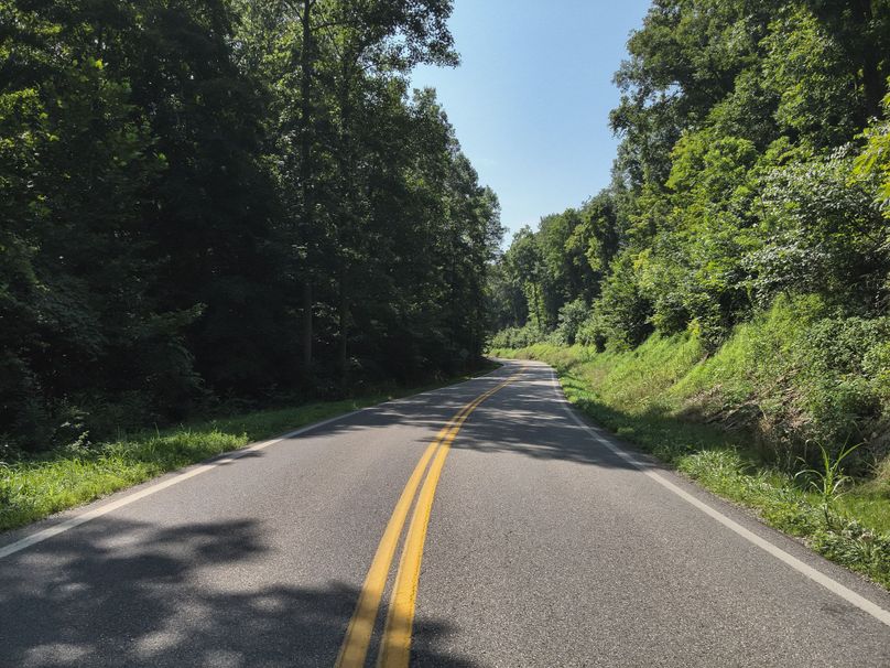 51. Road View (41acres)