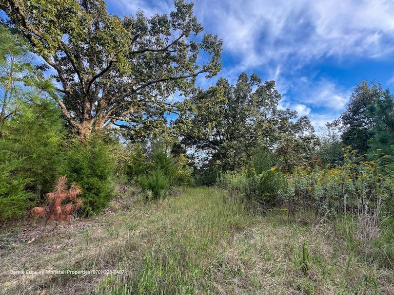 DeSoto 329 Prewett (Thompson) -37