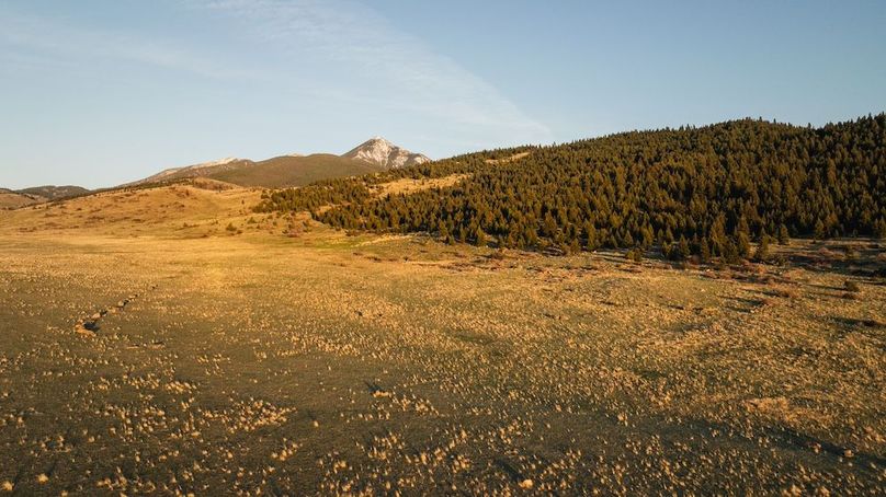 250501-DJI_0091