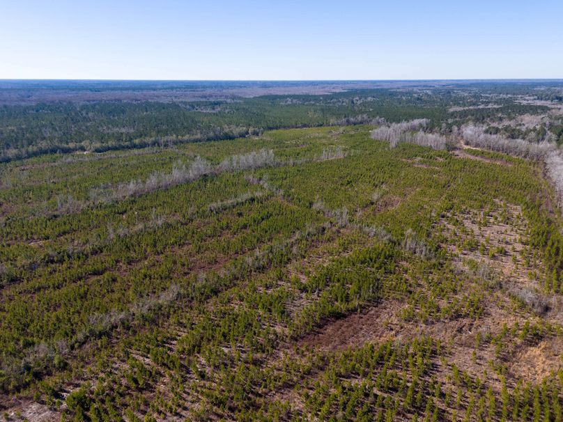 Pender NC 382 - Edits-10