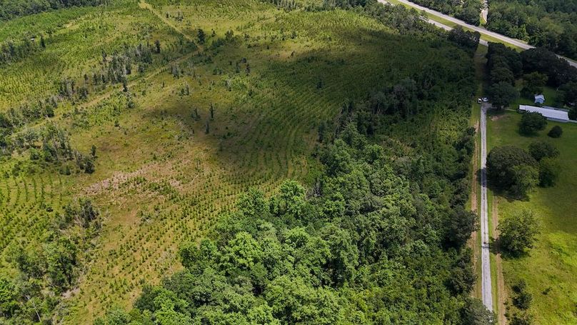 8-DJI_20240730132236_0008_D