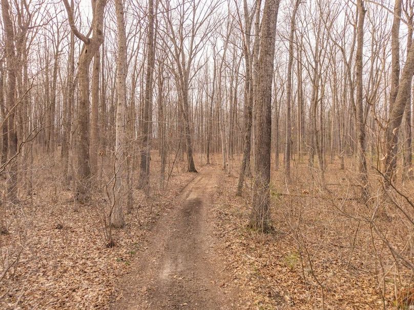 DJI_20260325090811_0046_D