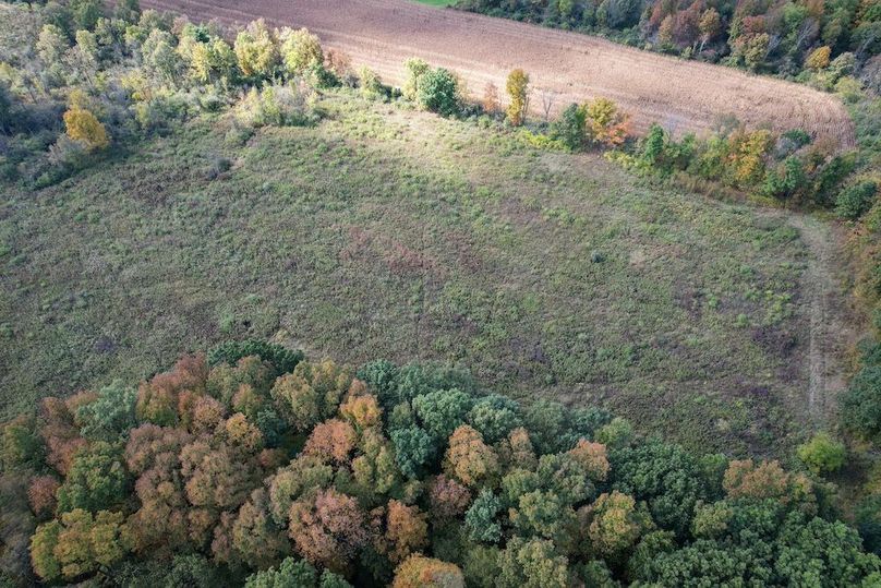 Tompkins_30.32_Hildreth_Estate_Phoros_23