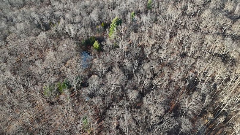 DJI_20251209150904_0684_D