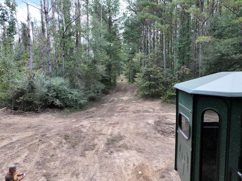 dji_fly_20251001_154700_0642_1759492681987_photo