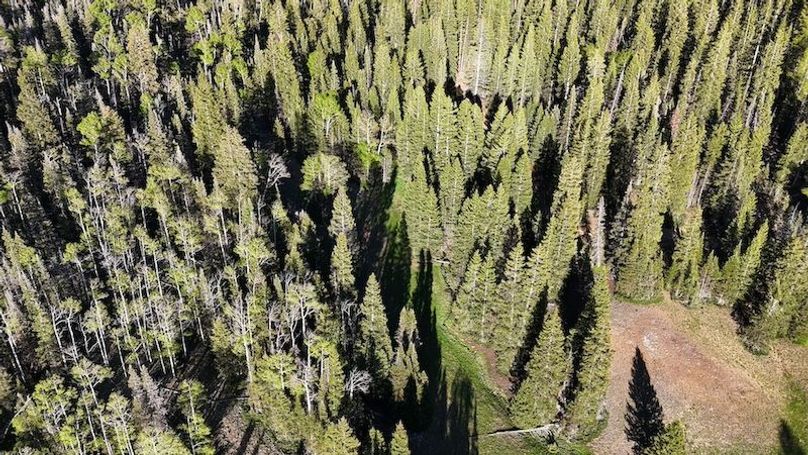 DJI_20250613192047_0052_D