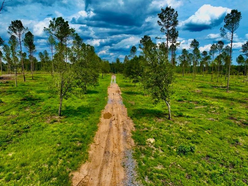 C4154C83-E841-4CA9-9555-7EF341115E9F_1_105_c