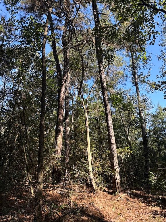 DJI_20251003_104640_888