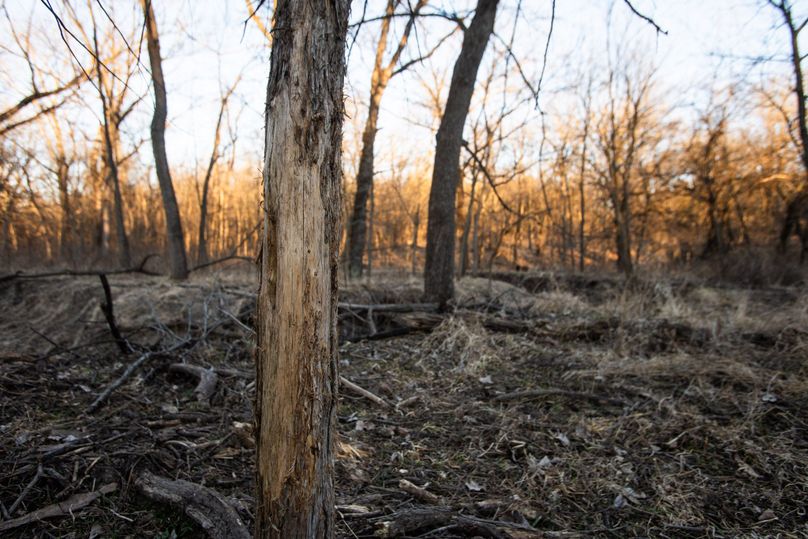 WORTH CO MO 537.44_35