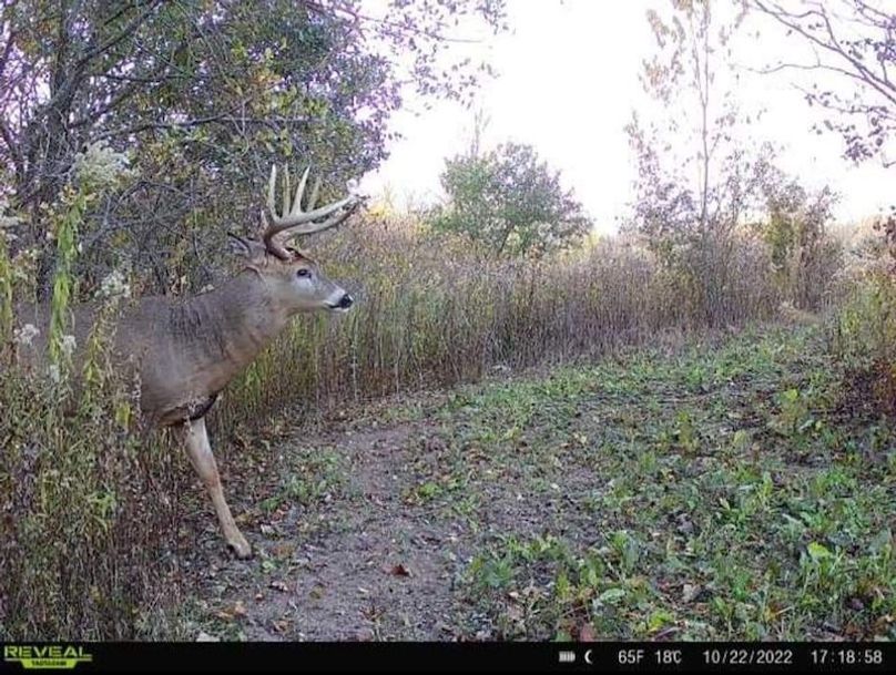 FB_IMG_1718028852970