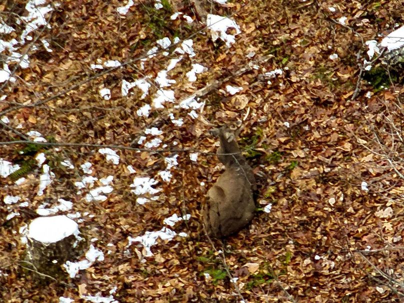 29-DJI_20251208170041_0009_Z