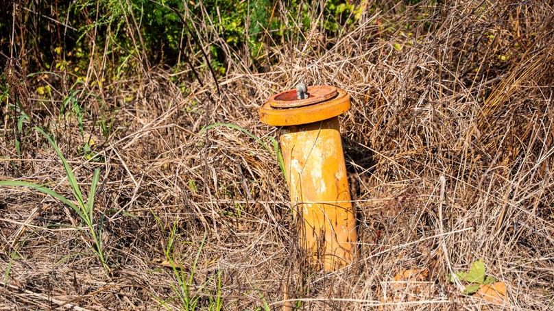 MadisonParLa1372-116