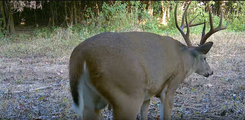 Screenshot 2025-09-24 at 2.49.26 PM