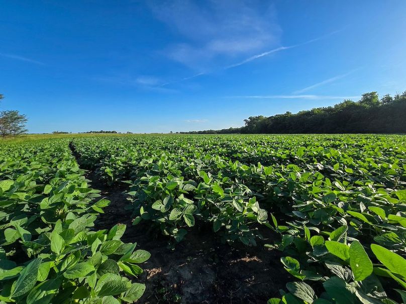 Copy of 20250729_081037