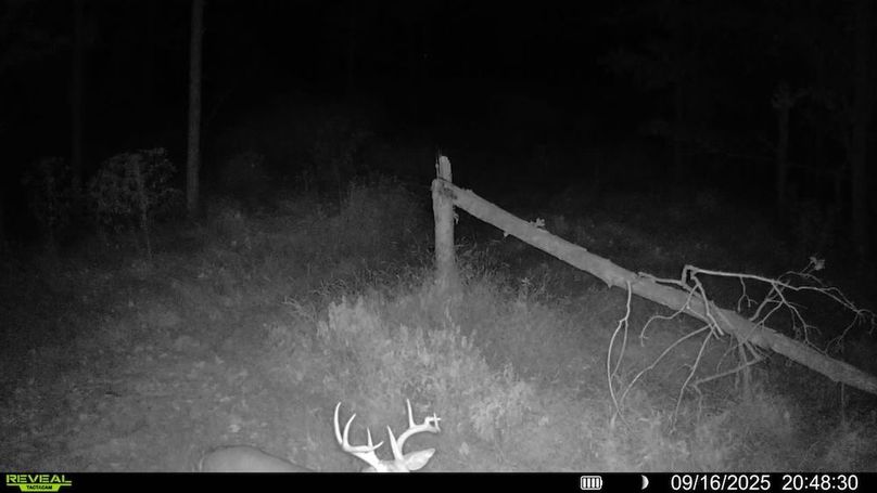 016578004709009-87-3-09162025204830-SYFW00880