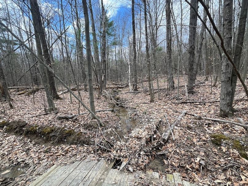 Chemung_100_Nye Photo 28