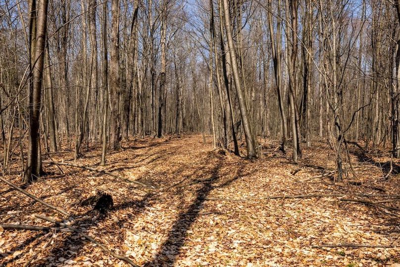 73-web-or-mls-IMG-73