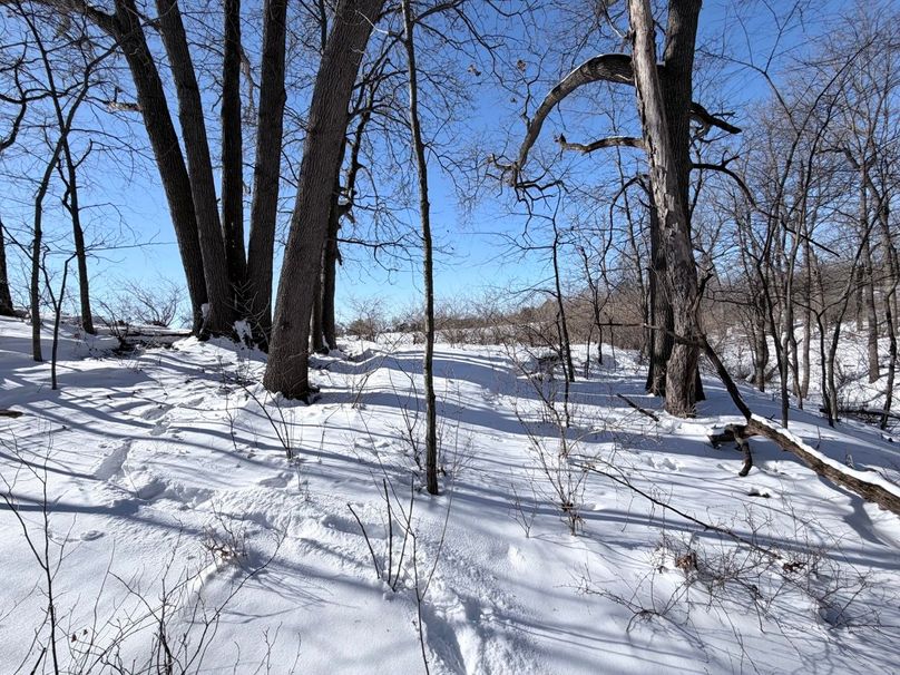 2.Copy of Tract 5 SW Corner Looking W toward Tract 9 Large