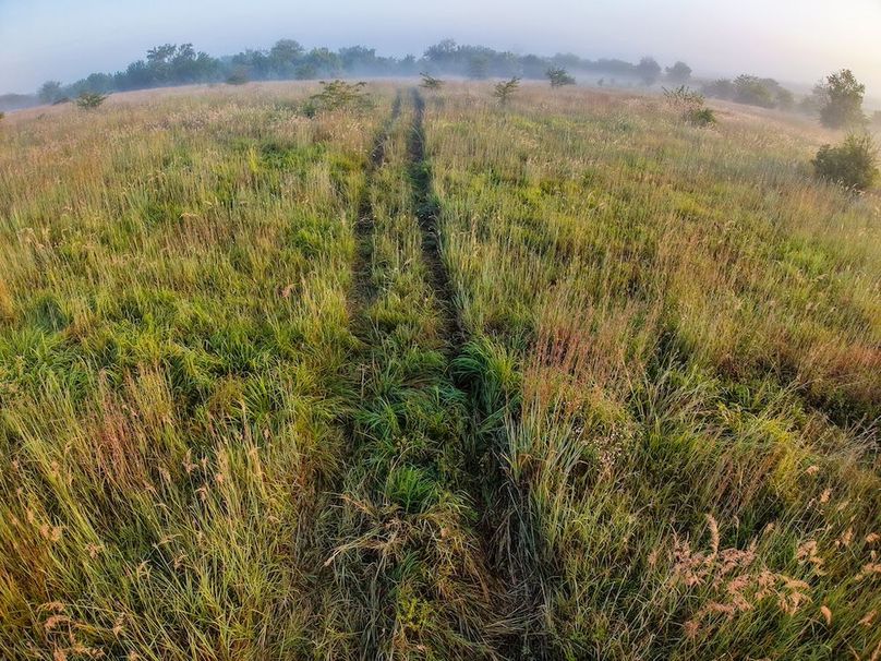 DJI_20250906072754_0028_D