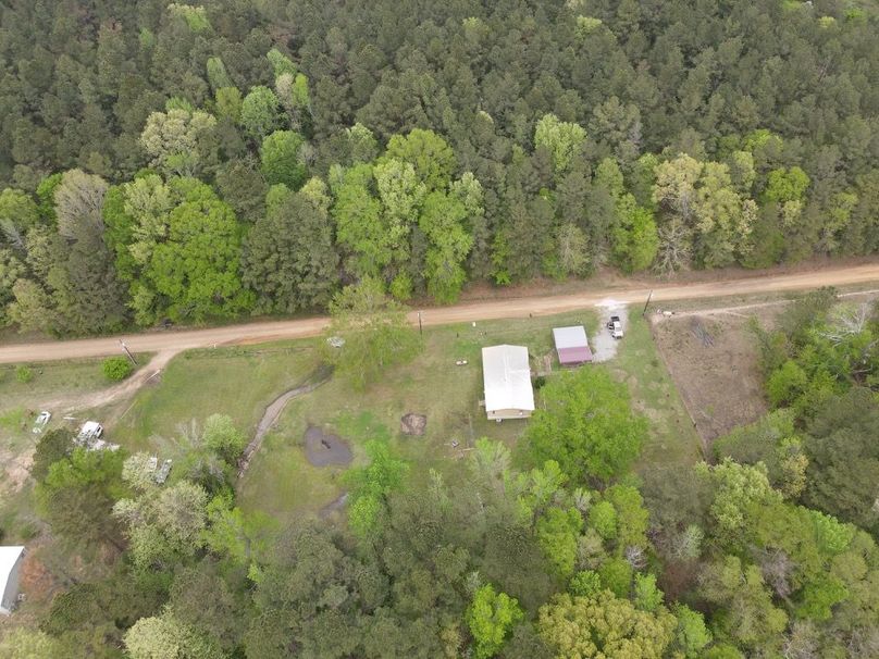 dji_fly_20250401_152404_512_1743539055133_photo 3