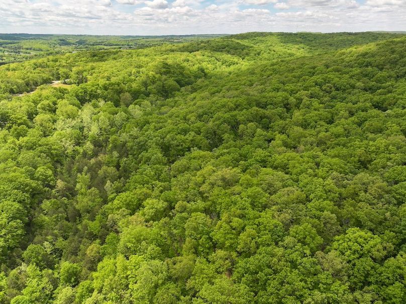 DJI_20250506124856_0236_D