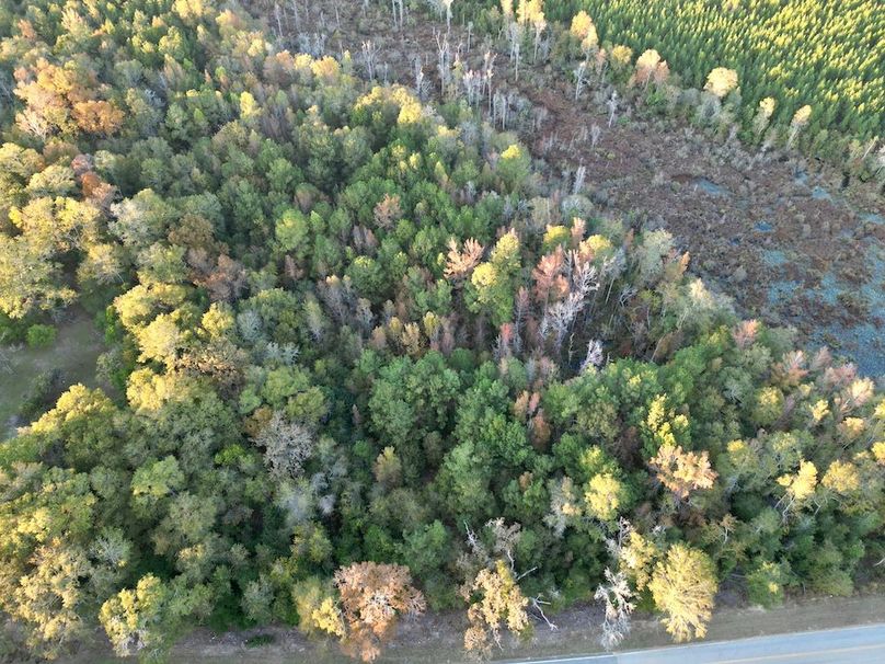 dji_fly_20251103_172244_384_1762260517191_photo