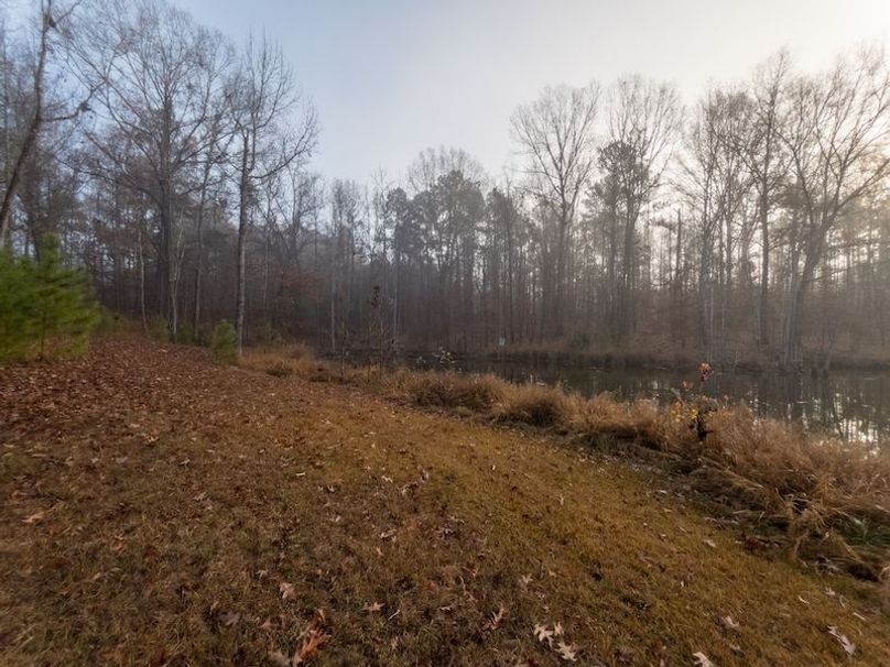 Claiborne Co - 274 - Marian-105