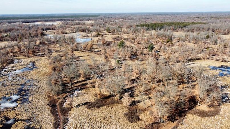 dji_fly_20240205_122826_969_1707265067556_photo_optimized 2