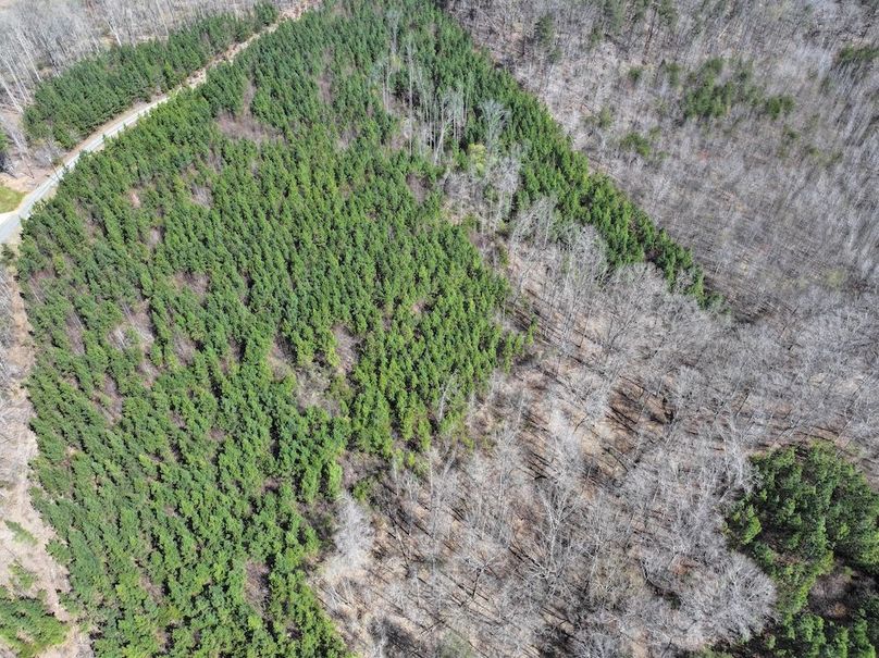 dji_fly_20260325_115242_0639_1774539307368_photo