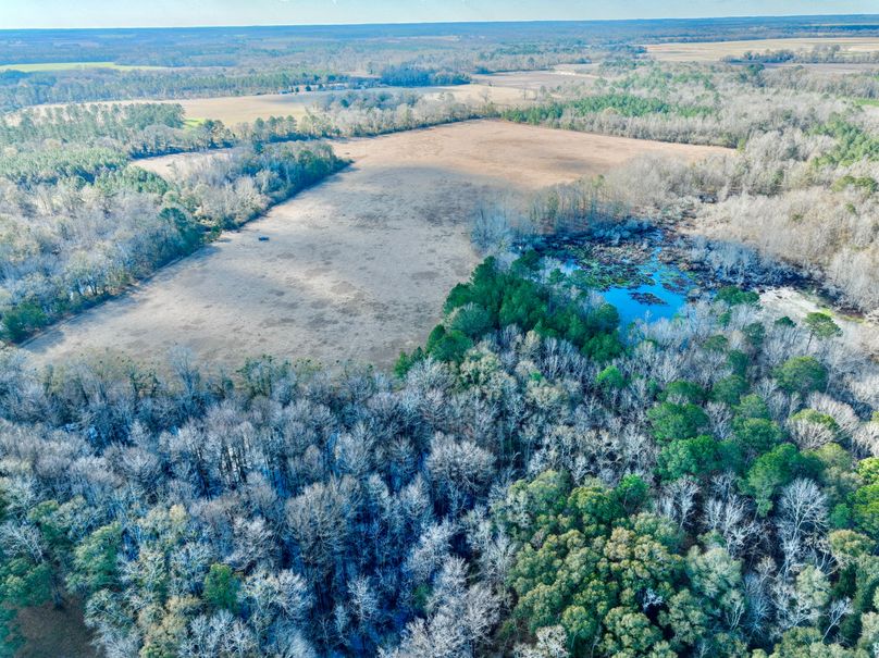 dji_fly_20231230_105302_994_1703952456748_photo