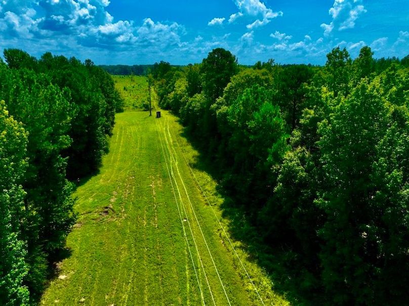 89D57649-81AE-4BD9-A0E6-D98A25B7B2F5_1_105_c