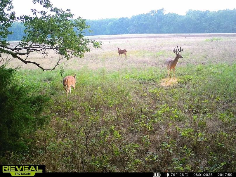 860322064005413-100-2-08022025061527-HD-SYEW0194