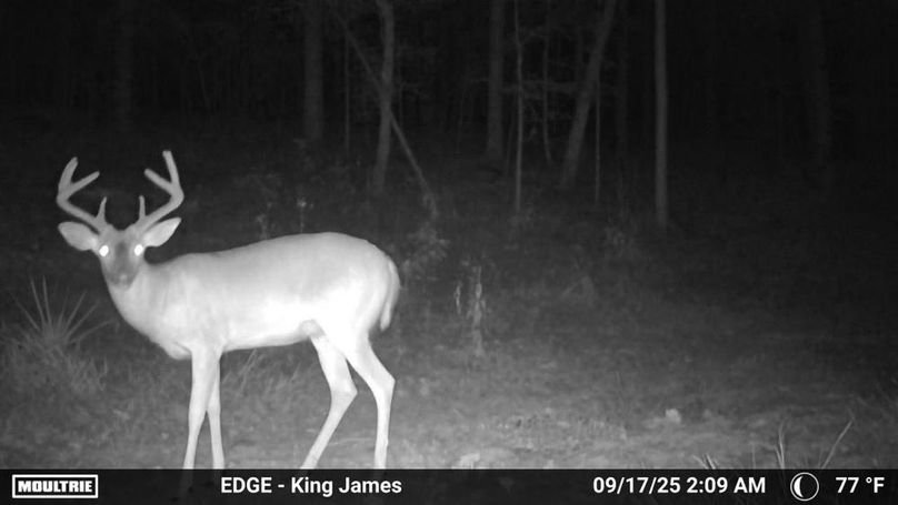 image638937224230465860