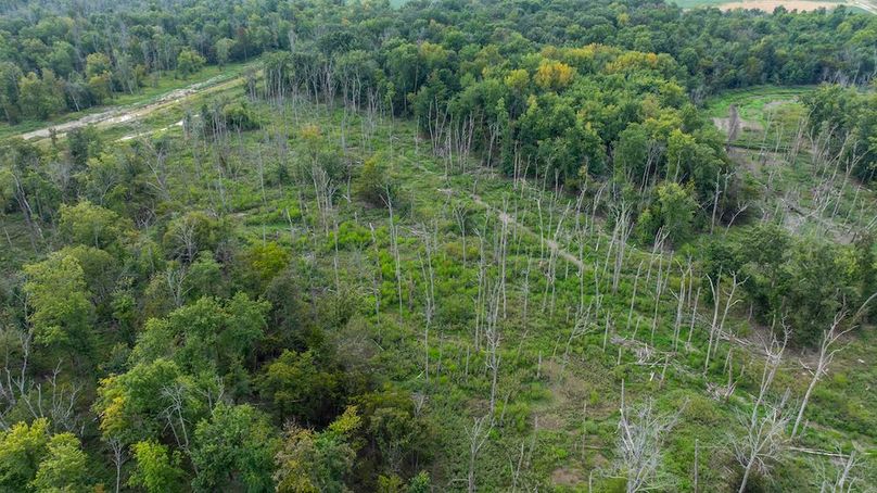 DJI_20250909194550_0025_D