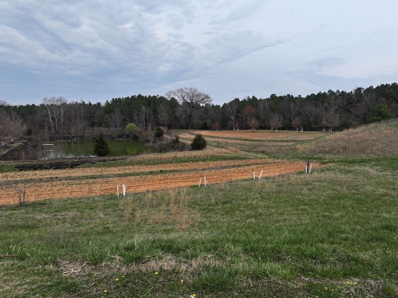 DJI_20240316122406_0033_D