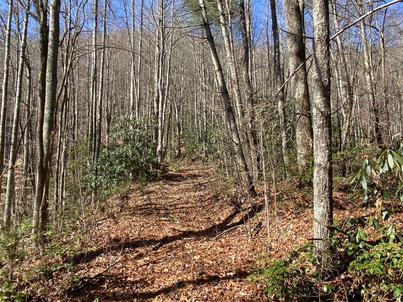 Cherokee 97.28+_- Stiles-33