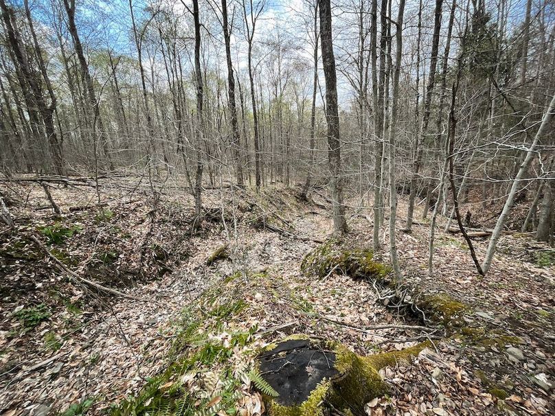 Tioga_76.65_Matyjas_Photos_59