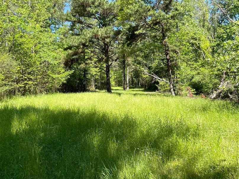 ABD4E198-F66F-435E-BC79-81186432D108_1_105_c