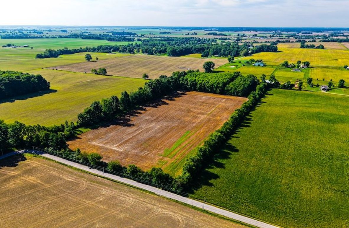 dji_fly_20260530_093822_0104_1780149228658_photo