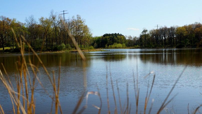 WILLIAMSON, IL 65.00_00_57_02.Still007