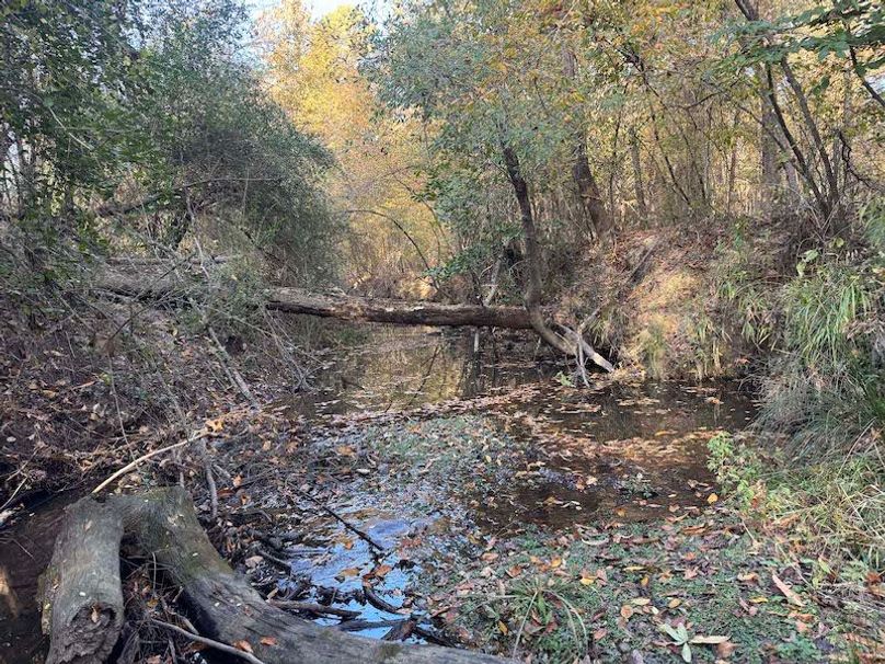 Jeff 11720251111_0202